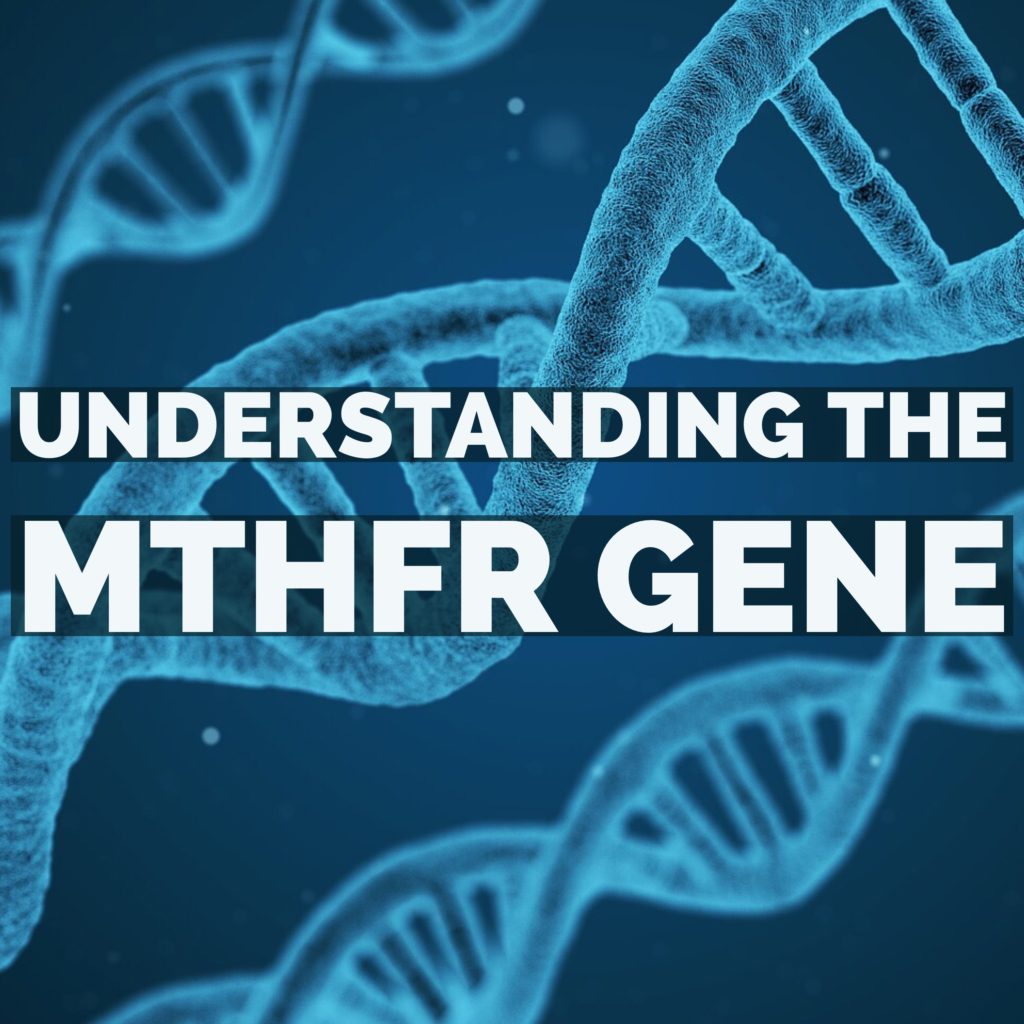 What Does MTHFR Mean? A Simple Guide to Your DNA Results